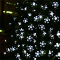 S02456d120b1f413084fe79fbdcc52b2cD